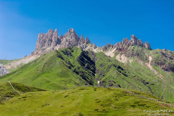 Rosszähne, Weg zwischen Plattkofelhütte und Tierser Alpl Hütte, Seiseralm (Südtirol), Italien