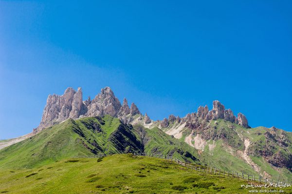 Rosszähne, Weg zwischen Plattkofelhütte und Tierser Alpl Hütte, Seiseralm (Südtirol), Italien