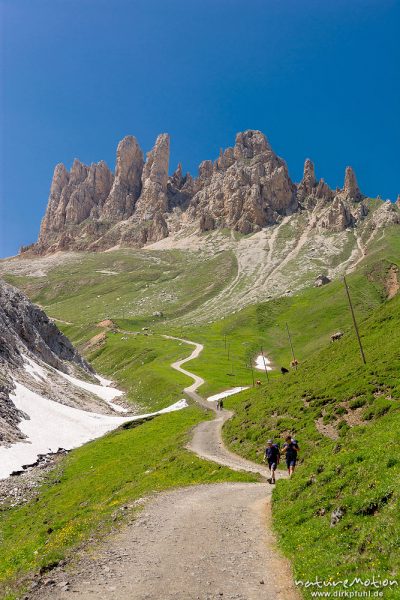 Wanderweg zu den Rosszähnen, Seiseralm (Südtirol), Italien
