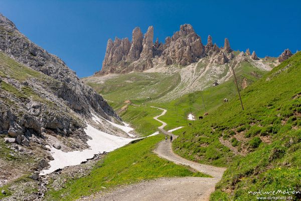 Wanderweg zu den Rosszähnen, Seiseralm (Südtirol), Italien