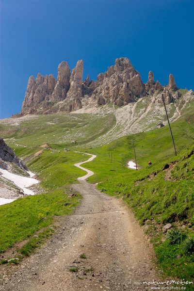 Wanderweg zu den Rosszähnen, Seiseralm (Südtirol), Italien