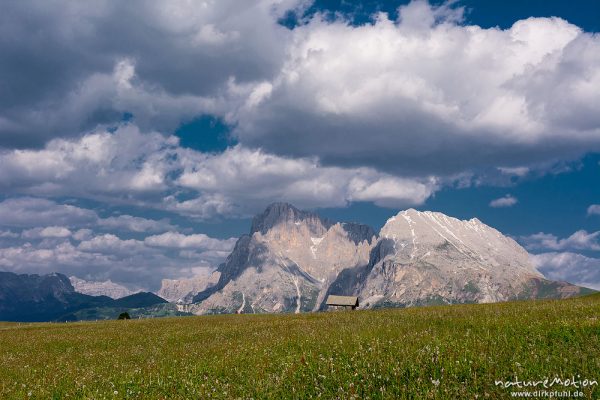 Langkofel, Plattkofel, Almwiesen und Hütten, Wanderweg zwischen Tierser Alpl Hütte und Kompatsch, Seiseralm (Südtirol), Italien