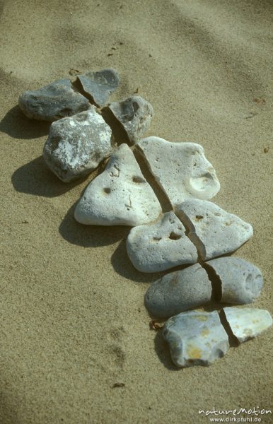 Reihe gespaltener Steine, Strand von Femarn, Femarn, Deutschland