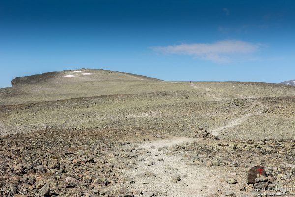 Wanderweg, Veslfjellet, T-Markierung, Jotunheimen, Norwegen