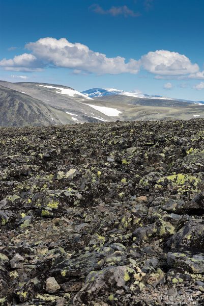 Geröllfeld, Höhenzüge mit Schneefledern, Veslfjellet, Jotunheimen, Norwegen