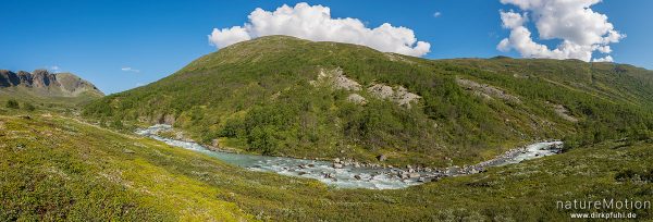 Gletscherfluss, Muru, Memurudalen, Jotunheimen, Memurubu, Norwegen