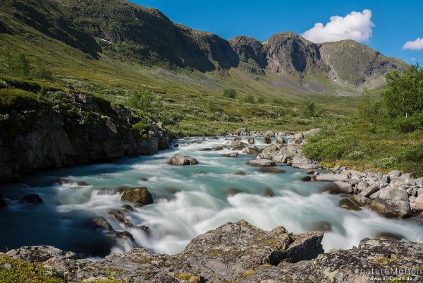 schäumender Gletscherfluss, Muru, Memurudalen, Jotunheimen, Memurubu, Norwegen