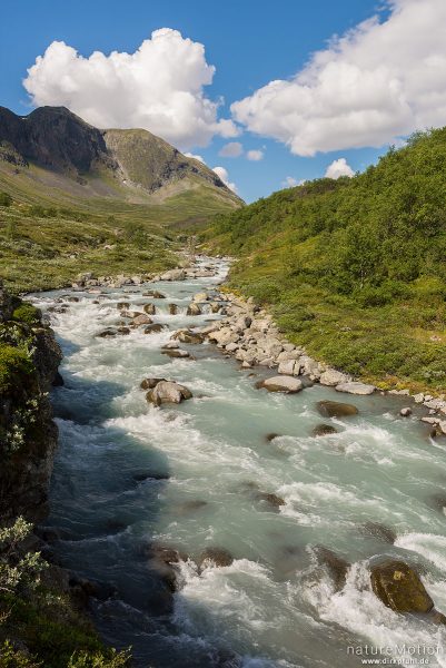schäumender Gletscherfluss, Muru, Memurudalen, Jotunheimen, Memurubu, Norwegen