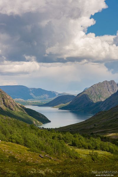 Tal des Muru mit Blick auf den Gjendesee, Memurudalen, Jotunheimen, Memurubu, Norwegen