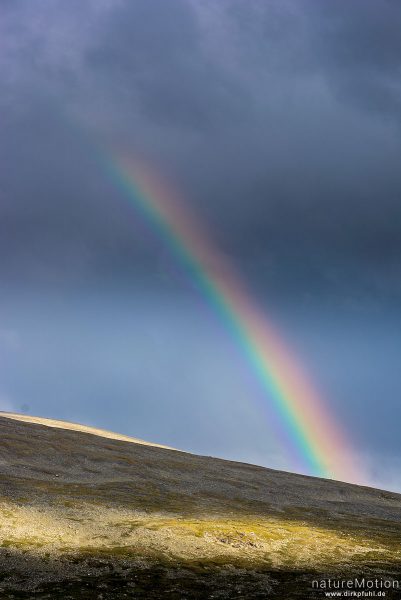 Regenbogen, Tal des Veo, Felsen, Bergrücken, Himmel, Abendlicht, Jotunheinem, Glitterheim, Norwegen