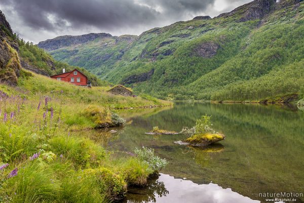 Almhütten am Nesbovatnet, Aurlandsdalen, Norwegen