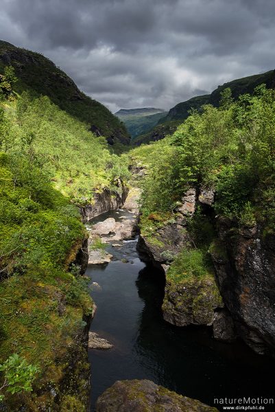 Flusslauf des Aurlandselvi, eingeschnittenes Tal, Aurlandsdalen, Aurlandsdalen, Norwegen