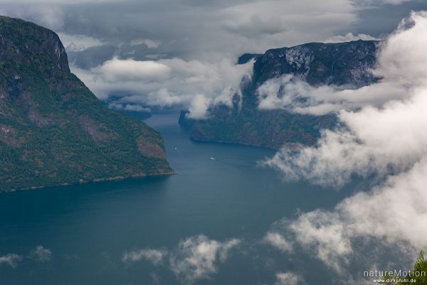 Aurlandsfjord mit durchziehenden Regenwolken, Aussichtspunkt Stegastein oberhalb von Aurland, Aurland, Norwegen