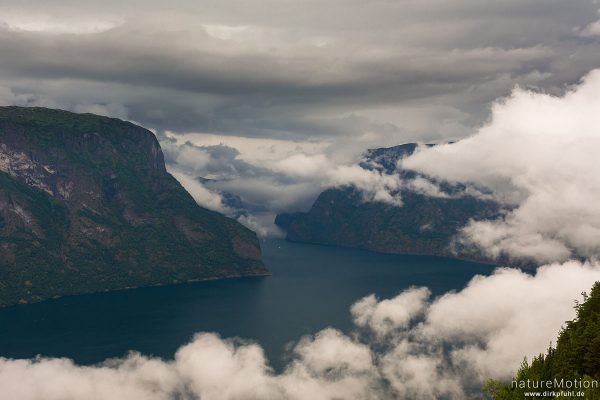 Aurlandsfjord mit durchziehenden Regenwolken, Aussichtspunkt Stegastein oberhalb von Aurland, Aurland, Norwegen