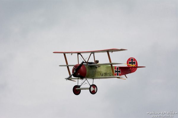 Fokker Dr.I Dreidecker, Flugmodell im Flug, Kunstflug, Mega Flugshow 2013 des MSV Condor Göttingen e.V., Göttingen, Deutschland