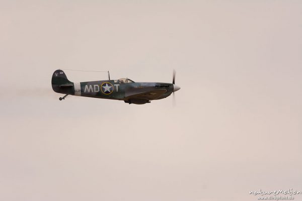 Supermarine Spitfire, Modellflugzeug, Formationsflug mit Rauch, Mega Flugshow 2013 des MSV Condor Göttingen e.V., Göttingen, Deutschland
