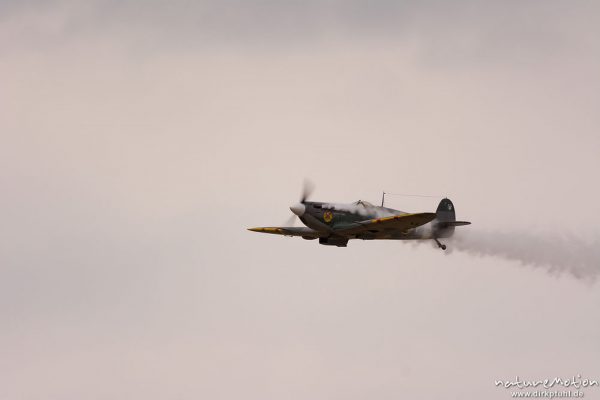 Supermarine Spitfire, Modellflugzeug, Formationsflug mit Rauch, Mega Flugshow 2013 des MSV Condor Göttingen e.V., Göttingen, Deutschland