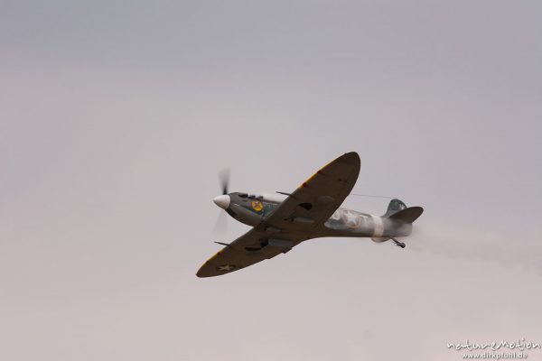 Supermarine Spitfire, Modellflugzeug, Formationsflug mit Rauch, Mega Flugshow 2013 des MSV Condor Göttingen e.V., Göttingen, Deutschland