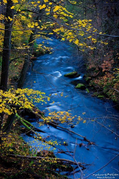 Bachlauf im Herbstwald, Bode, Bodetal, Harz, Deutschland