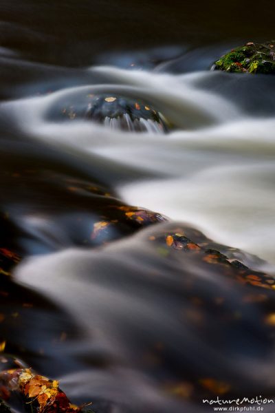 strömendes Wasser um Steine im Bachbett, Herbstlaub, Bod, Bodetal, Harz, Deutschland