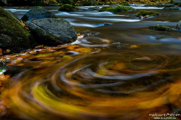 Herbstlaub kreist in einer Bucht am Bachufer, Bode, Bodetal, Harz, Deutschland