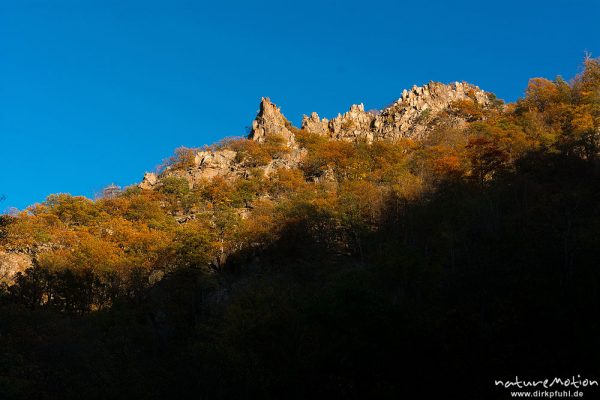 Felsformation im Herbstwald, halb beschattete Bergflanke, Blick hinauf zum Hexentanzplatz, Bodetal, Harz, Deutschland