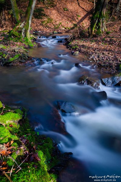 fließendes Wasser, Mittelgebirgsbach, Niemetal, Löwenhagen, Deutschland