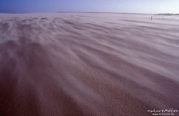 Linien von verwehendem Sand, von starkem Wind über nassen Sand getrieben, Meer, Strand, Watt (ehemals 163,81), Spiekeroog, Deutschland