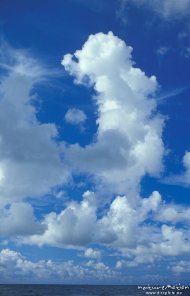 hochaufragende Cumulus-Wolke über dem Meer,  Weststrand Darss, Darß, Zingst, Deutschland