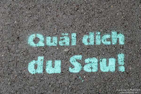 "Quäl dich du Sau!", Graffitti auf Asphalt, Radrennen Tour d'Energy, Straße zum Hohen Hagen, Dransfeld, Deutschland