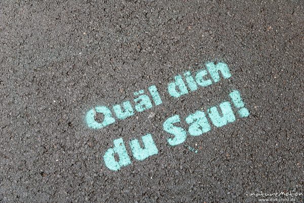 "Quäl dich du Sau!", Graffitti auf Asphalt, Radrennen Tour d'Energy, Straße zum Hohen Hagen, Dransfeld, Deutschland
