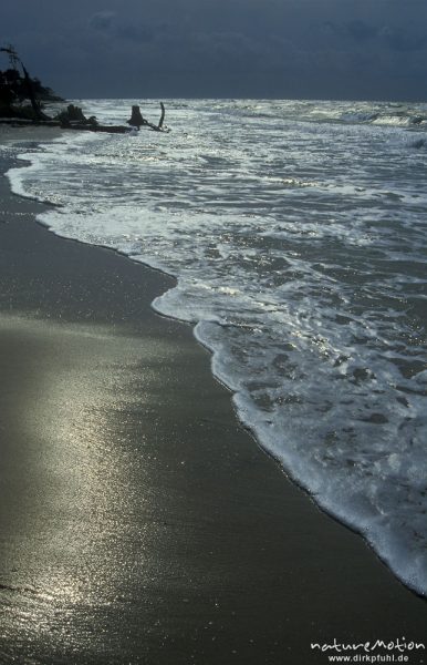 Wasser läuft über den Strand, Brandungslinie, Strandlinie, Darsser Weststrand, Darß, Zingst, Deutschland