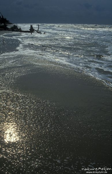 Wasser läuft über den Strand, Brandungslinie, Strandlinie, Darsser Weststrand, Darß, Zingst, Deutschland