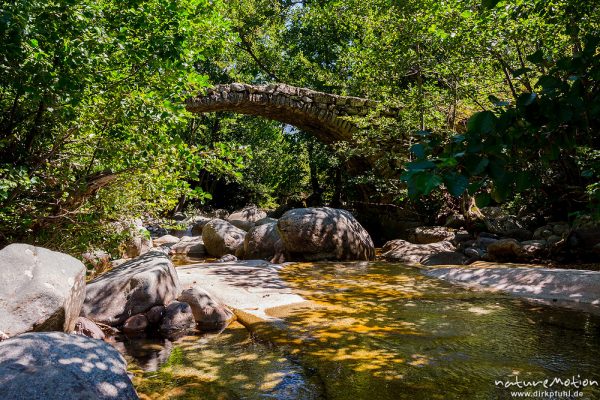 Genueserbrücke, Bachlauf des Ercu bei Lozzi, Korsika, Frankreich