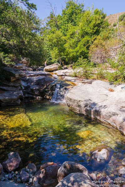 Badegumpen, Tal des Ercu bei Lozzi, Korsika, Frankreich