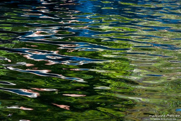 Reflektionen auf Wasseroberfläche, Badegumpen im Tal des Ercu bei Lozzi, Korsika, Frankreich