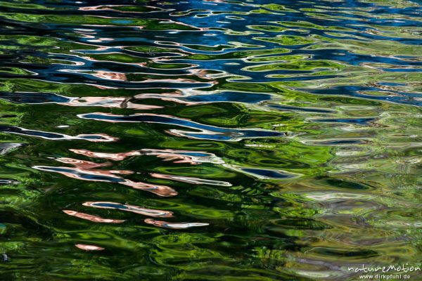 Reflektionen auf Wasseroberfläche, Badegumpen im Tal des Ercu bei Lozzi, Korsika, Frankreich