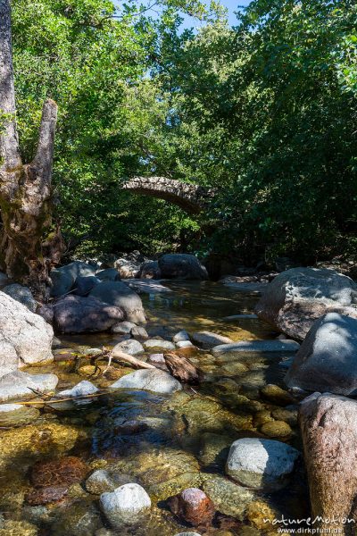 Genueserbrücke, Bachlauf des Ercu bei Lozzi, Korsika, Frankreich