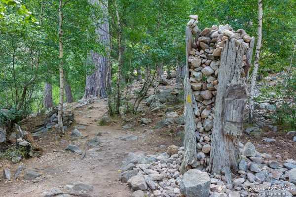 hohler Baumstamm gefüllt mit Steinen als Wegweiser, Wanderweg, Wanderung Forsthaus Poppaghia zum Lac de Nino, Korsika, Frankreich