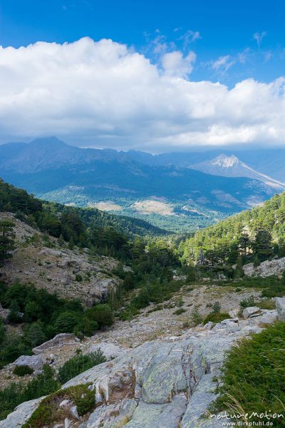 Gipfel unter Wolken, Blick über das Niolu, Bergerie de Colga, Wanderung Forsthaus Poppaghia zum Lac de Nino, Korsika, Frankreich
