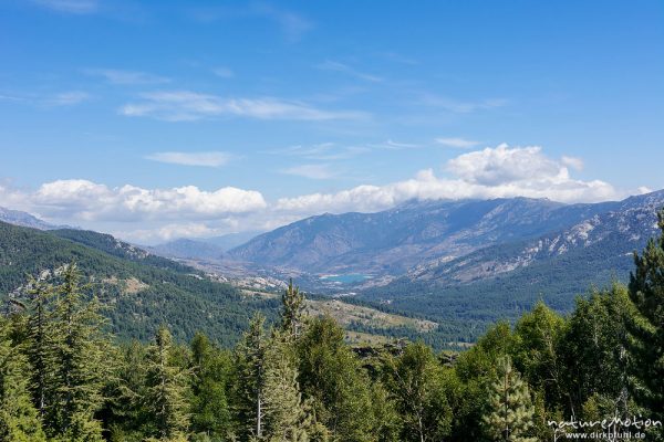 Blick vom Col de Vergio nordwärts ins Niolu, Stausee bei Calacussia, Berge, Korsika, Frankreich