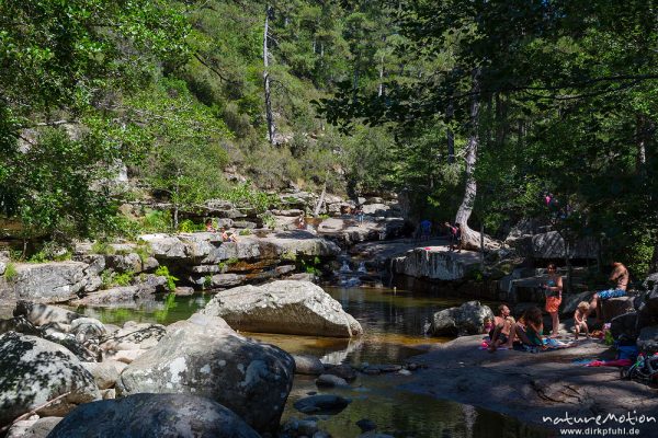 Badegumpen und badende Menschen, Foret D'Aitone, Aitone-Bach bei Evisa, Cascades d'Aitone, Korsika, Frankreich