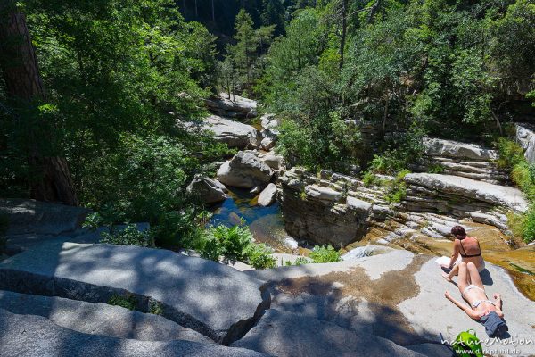 Badegumpen und badende Menschen, Foret D'Aitone, Aitone-Bach bei Evisa, Cascades d'Aitone, Korsika, Frankreich