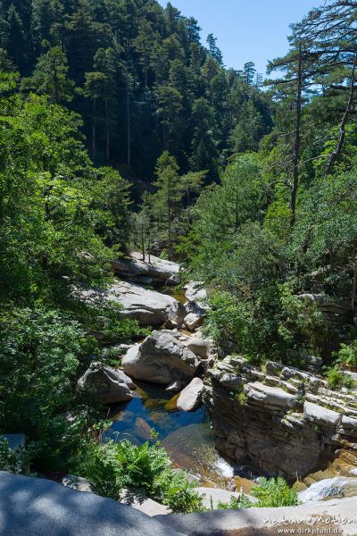 Badegumpen und badende Menschen, Foret D'Aitone, Aitone-Bach bei Evisa, Cascades d'Aitone, Korsika, Frankreich