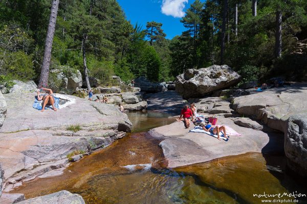 Badegumpen und badende Menschen, Foret D'Aitone, Aitone-Bach bei Evisa, Cascades d'Aitone, Korsika, Frankreich