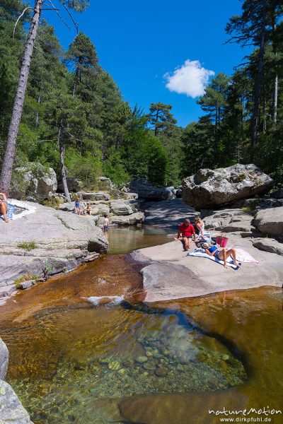 Badegumpen und badende Menschen, Foret D'Aitone, Aitone-Bach bei Evisa, Cascades d'Aitone, Korsika, Frankreich