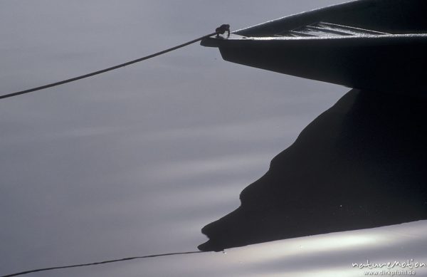 Bootsspitze spiegelt sich im Wasser, sanfte Wellen, Gegenlicht, Edersee, Edersee, Deutschland