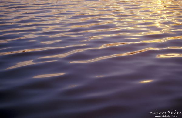 orangerote Wasserspiegelung, Wellen, gekräuselte Wasseroberfläche, Sonnenuntergang über dem Gobenowsee, Mecklenburger Seen, Deutschland