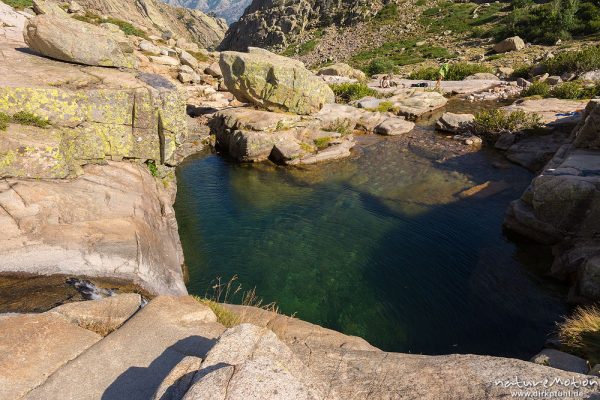 Bachlauf des Golo mit Erlengebüsch und Badestelle, geringer Wasserstand Ende August, Korsika, Frankreich