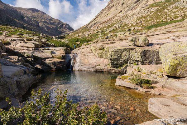 Bachlauf des Golo mit Erlengebüsch und Badestelle, geringer Wasserstand Ende August, Korsika, Frankreich